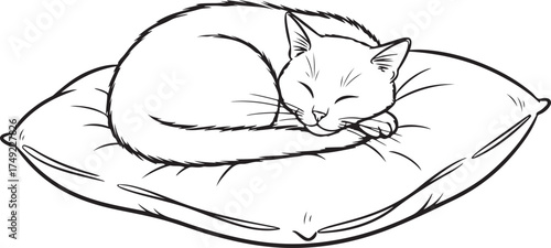 sketch of a cat Sleeping Cat on a Pillow Line Art | Cozy Pet Doodles Vector Sketch

Hand Drawn Outline: Cute Cat Curled Up on a Cushion

Minimalist Cat and Comfort Sketch | Feline Asleep on a Soft Pil