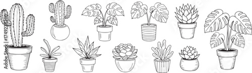 Potted Houseplants Line Art | Monstera, Cactus, and Succulent Outlines

Tropical and Desert Plant Doodles | Indoor Garden Vector Sketches

Minimalist Houseplant Collection | Hand Drawn Potted Flora Cl