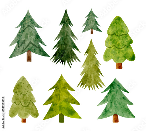Watercolor vector set of evergreen trees in green shades. Hand-painted pine and fir illustration for winter, forest, or Christmas design projects.