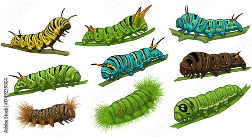 Collection of colorful and diverse caterpillar illustrations on a white background