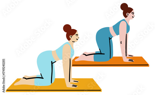 Woman doing yoga cat cow pose sequence on mat. Fitness exercise demonstration showing spinal stretch movements.