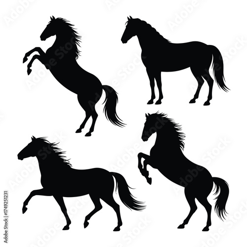 Vector silhouette horse illustrations set scalable eps graphics for dynamic equestrian designs silhouette