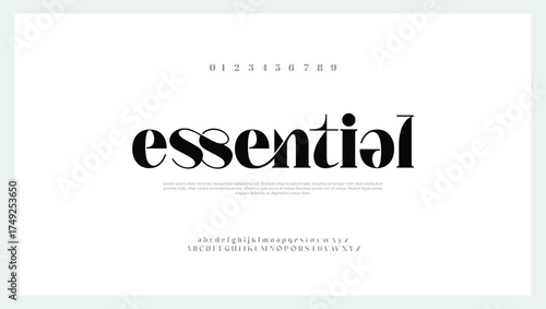 Abstract Fashion font alphabet. Typography typeface uppercase lowercase and number. vector illustration

