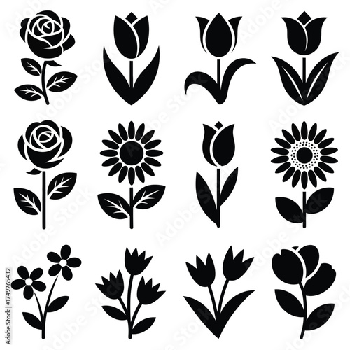 Set of 12 black and white floral silhouettes vector illustration for eps files silhouette