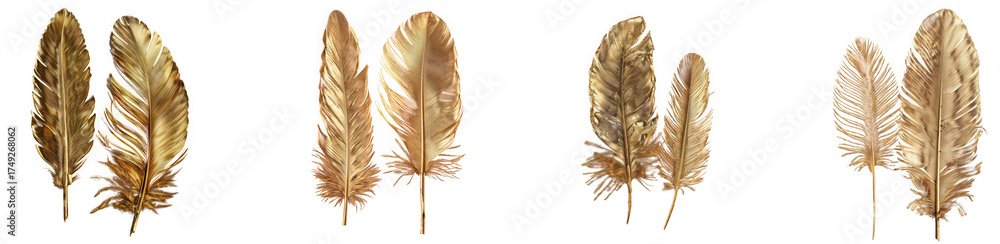 Fototapeta premium Collection of four golden feathers isolated on transparent background, showcasing different textures and sizes