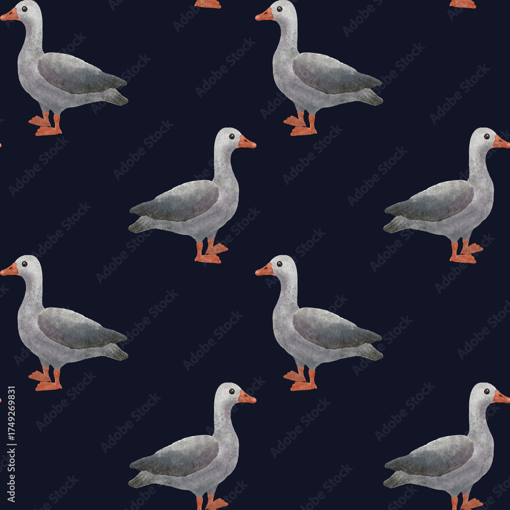 Obraz premium Two gray geese, painted in a delicate watercolor style. They are arranged diagonally, one higher, the other lower, as if in a smooth movement or a light dance.