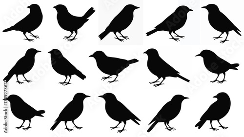 Collection of 15 bird silhouettes vector illustration scalable eps for design projects silhouette