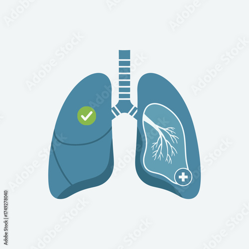 Detailed vector illustration of human lungs, contrasting a healthy organ with a positive checkmark against an intricate internal structure for medical, educational, and wellness-related graphic design