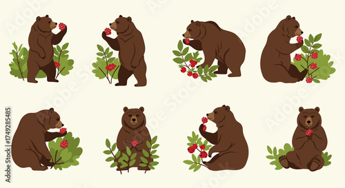 Eight brown bears foraging for red berries among green bushes