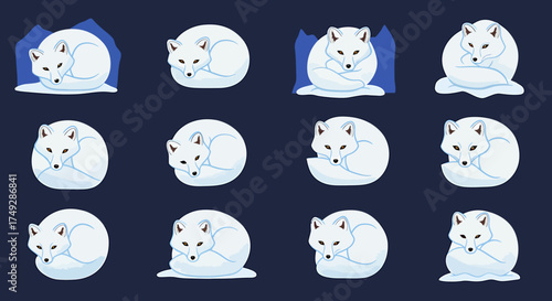 Twelve illustrations of white arctic foxes curled up against a dark blue background