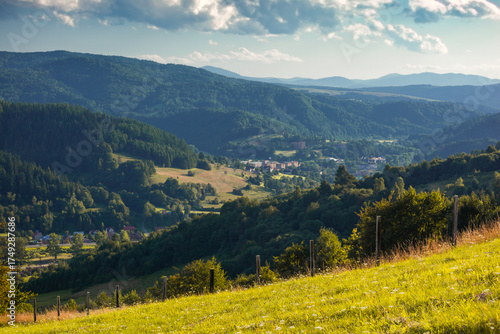 Fototapeta Naklejka Na Ścianę i Meble -  Panorama z Nowińskiej góry nad Muszyną.