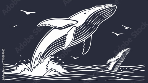Dynamic Humpback Whale Breaching Out of Ocean Waves Vintage Engraving Illustration Marine Wildlife Conservation and Tourism Design
