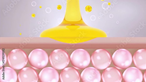  Layers of skin Drop a lotion or cream or serum. Onto the skin to add moisture And protect the skin from 3d sunlight
