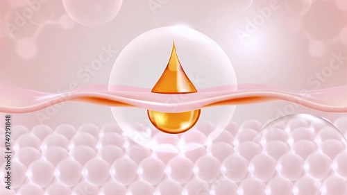  Layers of skin Drop a lotion or cream or serum. Onto the skin to add moisture And protect the skin from 3d sunlight
