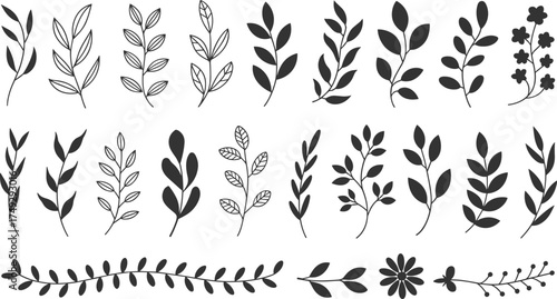 Collection of hand-drawn botanical elements and decorative branches for design projects
