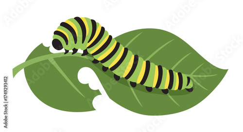 Cartoon Caterpillar Eating a Green Leaf Illustration.