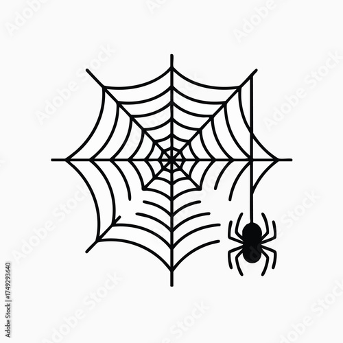 A spider hangs from a web