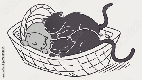 Cozy Kittens Sleeping in Basket, Adorable Pets for Animal Lovers, Cute Domestic Cats for Pet Care Brands, Sweet Comfort and Relaxation, Perfect for Websites and Social Media