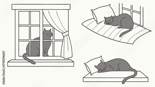 Cozy Cat Napping on Pillow by Sunny Window, Relaxing Pet Lifestyle, Peaceful Home Comfort, Serene Domestic Bliss, Adorable Feline Relaxation for Web Design and Content