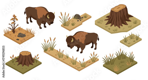 Isometric bison grazing scene with tree stumps and grass patches