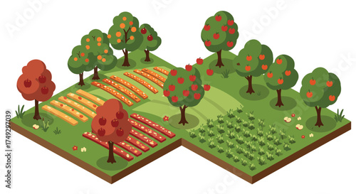 Isometric orchard and farm with fruit trees and crops