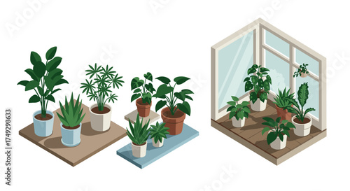 Isometric indoor houseplants on shelves and windowsill in modern decor