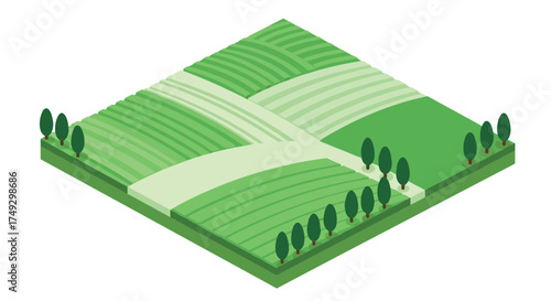 Isometric green landscape with trees and fields in a minimalist design