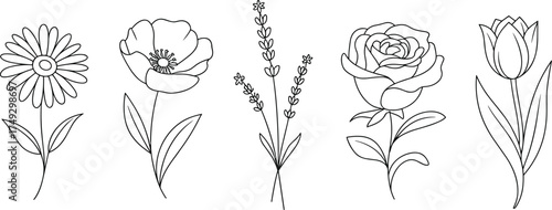 Delicate floral line art collection five distinct flowers for artistic projects