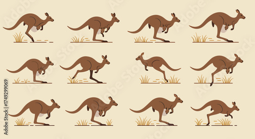Twelve illustrations show brown kangaroos some with joeys in various hopping poses
