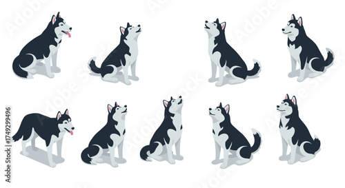 Isometric husky dog poses collection: detailed and expressive canine illustrations