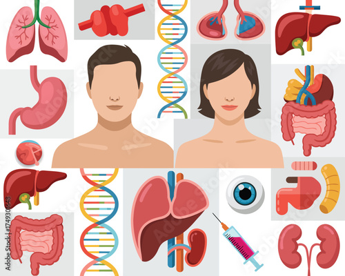 Collage of human anatomy organs and dna science medical illustration