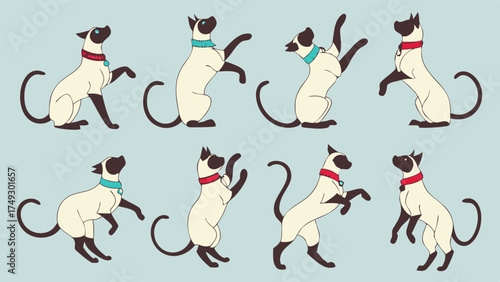 Siamese Cats Posing Standing Up Set for Pet Care Web Design Cute Animal Illustration Joyful Feline Collection