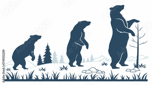 Bear Evolution Standing Upright Progression Wildlife Graphic for Growth Progress and Development Themes