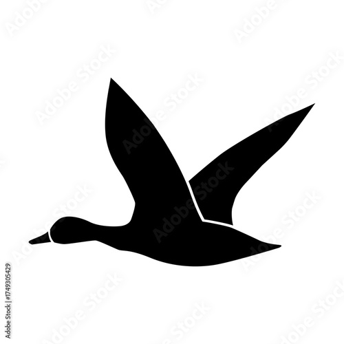 Flying duck svg cut file. Isolated vector illustration.