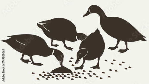 Ducks Feeding on Seeds Silhouette Graphic for Nature Wildlife Education Agriculture Farming and Community Teamwork