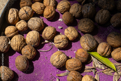 Basket filled with fresh walnuts, showcasing natural textures and earthy tones. Perfect for illustrating healthy food, organic farming, or autumn harvest concepts.