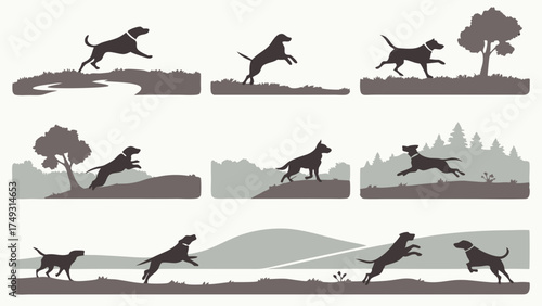 Dynamic Sporting Dog Silhouettes Running, Leaping, and Pointing in Natural Outdoor Landscapes. Ideal for Pet Care, Dog Training, and Web Design.