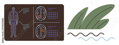 Human nervous system diagram and brain scans paired with abstract leaves and waves. Ideal for healthcare, science, nature, wellness, diagnostics, mindfulness, eco-friendly themes, simple flat