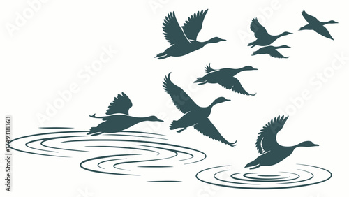 Flying Geese Taking Off from Water Ripples Migration Journey Teamwork Leadership Nature Freedom Wildlife Vector Illustration for Business Travel Environmental Campaigns