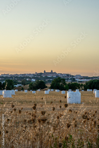 Close-up of hay bales in a rural field with the historic city of Évora in the background at sunset, capturing the peaceful essence of the Alentejo countryside.