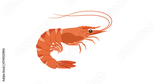 Stylized Orange Shrimp Illustration with Long Antennae and Curled Body.