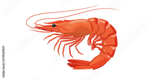 Cartoon Illustration of a Vibrant Orange Shrimp with Long Antennae.