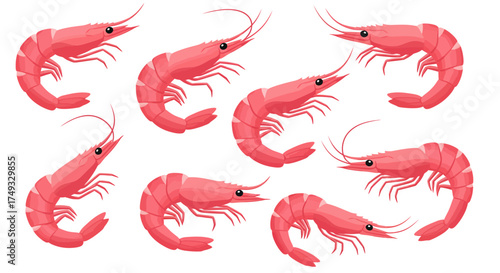 Group of Stylized Pink Shrimp with Curled Tails and Long Antennae.