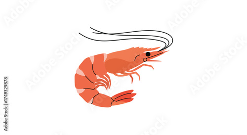 Stylized Orange Shrimp with Black Antennae Illustration.