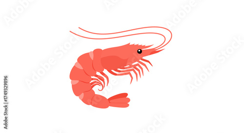 Stylized Pink Shrimp with Long Antennae and Segmented Body.