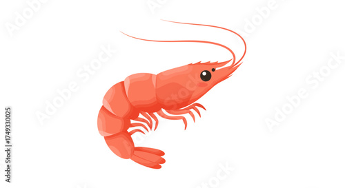 Cartoon Shrimp Illustration with Long Antennae and Curled Body.