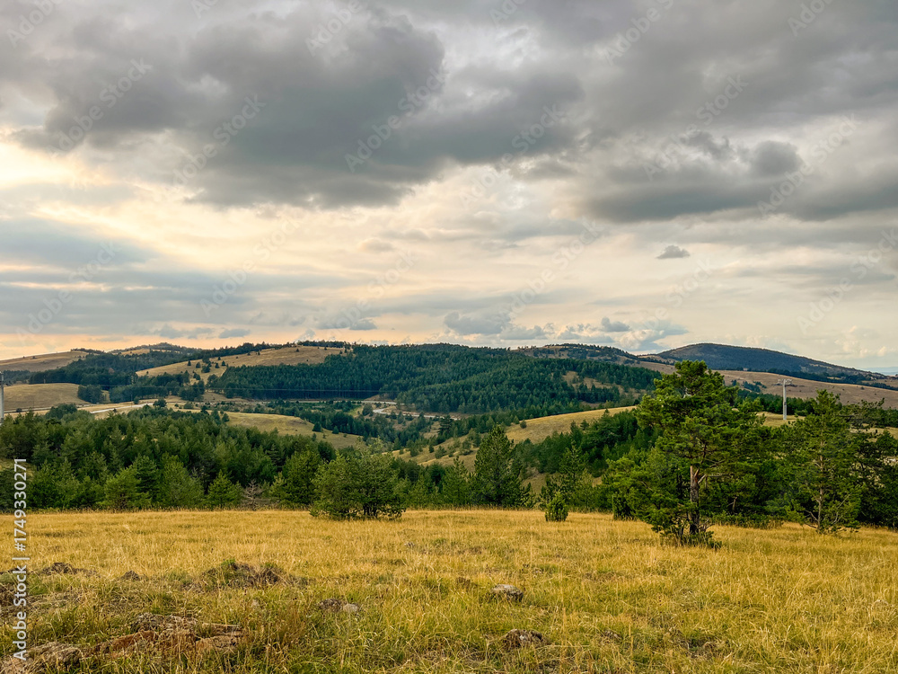 Naklejka premium Panoramic view of pine forest on hillside with mountains in the distance under cloudy sky natural daylight
