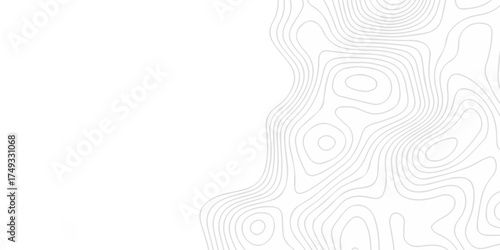 Abstract minimal The pattern discovery vector topo map creative discovery White wave grid stripe line map topography. vector geographic contour mounted map background.	