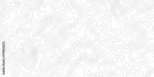 Abstract minimal The pattern discovery vector topo map creative discovery White wave grid stripe line map topography. vector geographic contour mounted map background.	