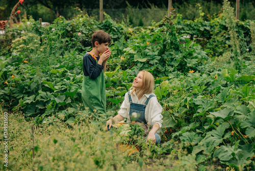 Wallpaper Mural Mother and son harvesting vegetables in outdoor garden Torontodigital.ca